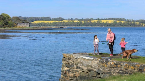 An adult and two children are walking a dog at at Strangford Lough, County Down. They're standing on a raised wall above the lough and there are rolling yellow crop fields in the background.